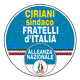 FRATELLI D'ITALIA ALLEANZA NAZIONALE